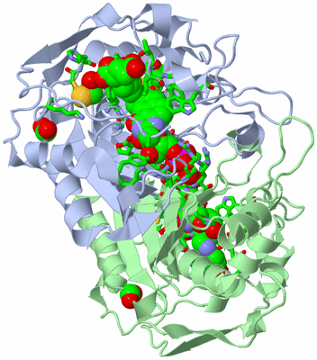 Image Asym./Biol. Unit - sites