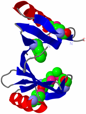 Image Asymmetric Unit