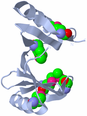 Image Biological Unit 1