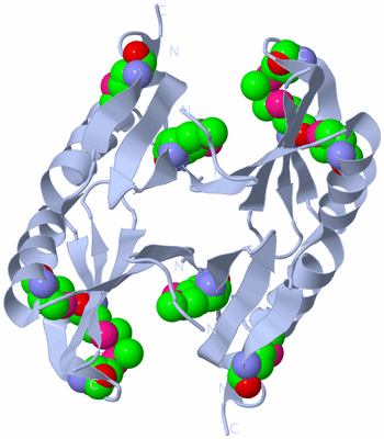 Image Biological Unit 2