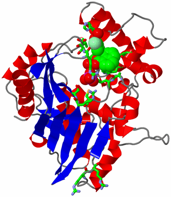 Image Asym. Unit - sites