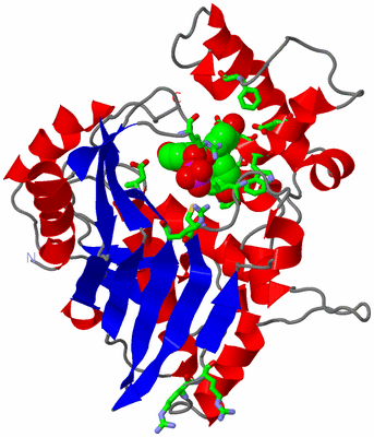 Image Asym. Unit - sites