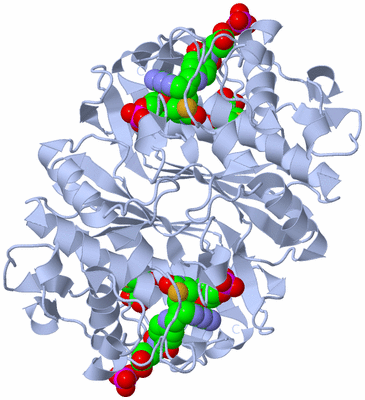 Image Biological Unit 1