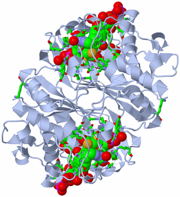 Image Biol. Unit 1 - sites