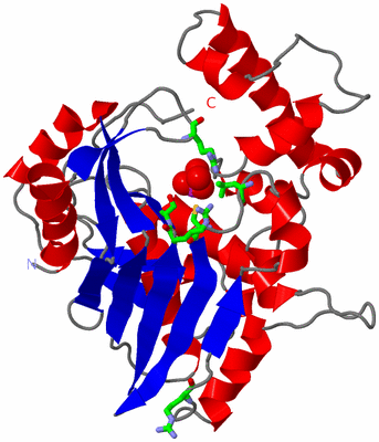 Image Asym. Unit - sites