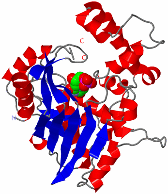 Image Asymmetric Unit