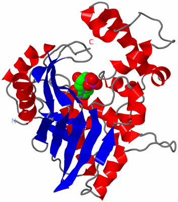 Image Asymmetric Unit