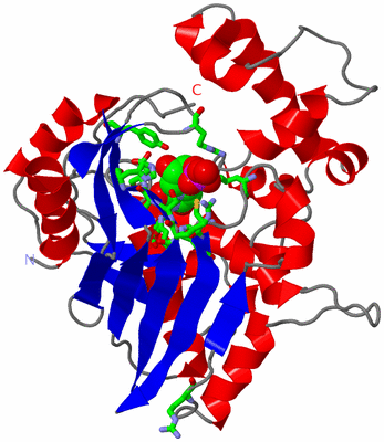 Image Asym. Unit - sites