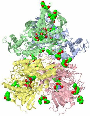 Image Asym./Biol. Unit