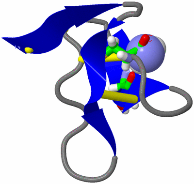 Image NMR Structure - model 1, sites