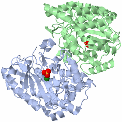 Image Asym./Biol. Unit