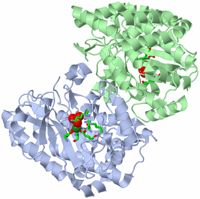 Image Asym./Biol. Unit - sites