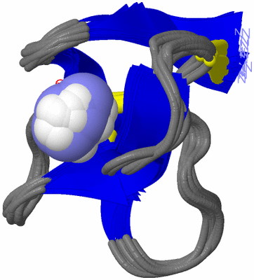 Image NMR Structure - all models