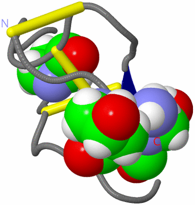 Image NMR Structure - model 1