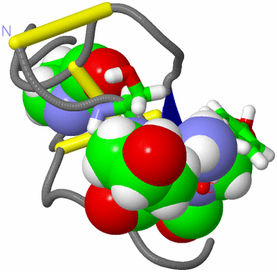 Image NMR Structure - model 1, sites