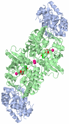 Image Biological Unit 1