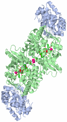 Image Biol. Unit 1 - sites