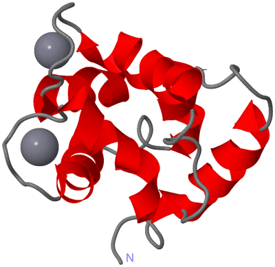 Image NMR Structure - model 1