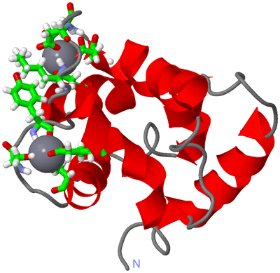 Image NMR Structure - model 1, sites