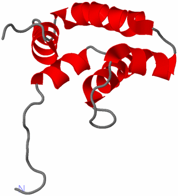 Image NMR Structure - model 1