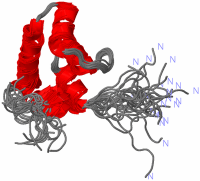 Image NMR Structure - all models