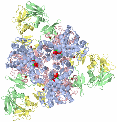 Image Biological Unit 1