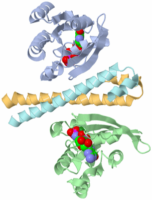 Image Biological Unit 1