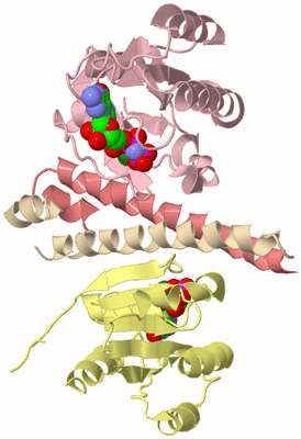 Image Biological Unit 2