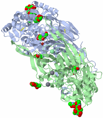 Image Asym./Biol. Unit