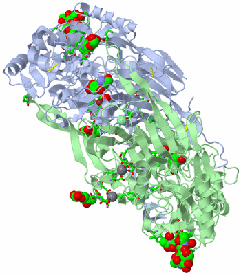 Image Asym./Biol. Unit - sites