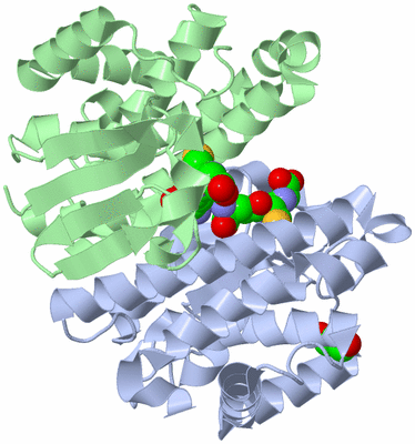 Image Asym./Biol. Unit