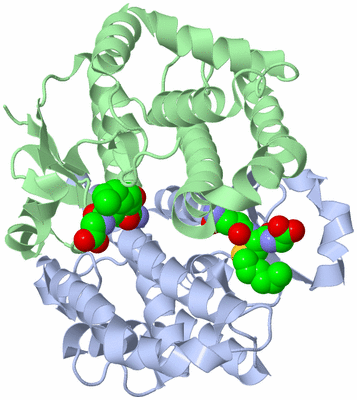 Image Biological Unit 1