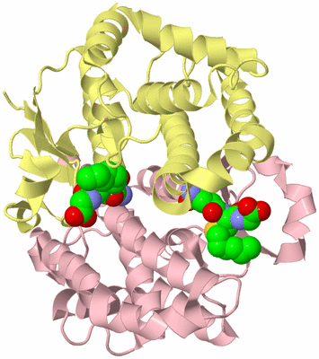 Image Biological Unit 2