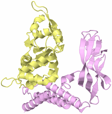 Image Biological Unit 2