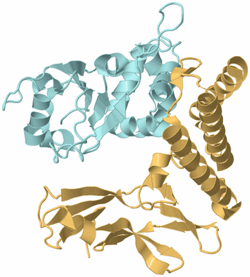 Image Biological Unit 3