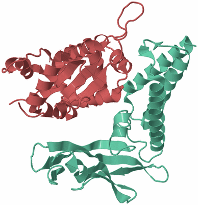 Image Biological Unit 5