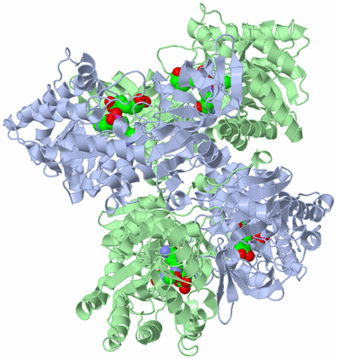 Image Biological Unit 2