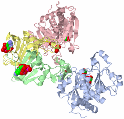 Image Asymmetric Unit