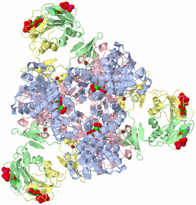 Image Biological Unit 1