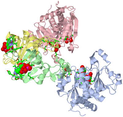 Image Asym. Unit - sites