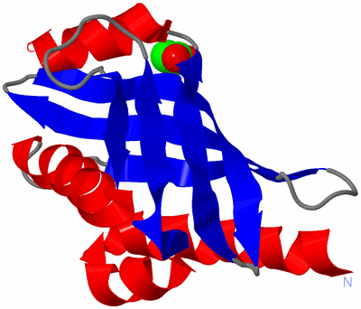 Image Asymmetric Unit