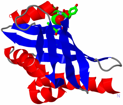 Image Asym. Unit - sites
