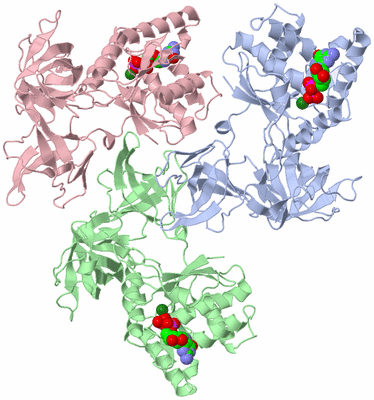 Image Asym./Biol. Unit