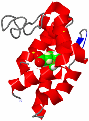 Image NMR Structure - model 1