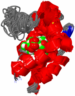 Image NMR Structure - all models