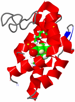 Image NMR Structure - model 1, sites