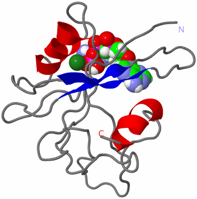 Image NMR Structure - model 1