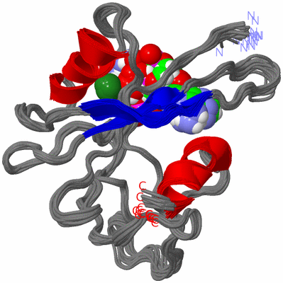 Image NMR Structure - all models