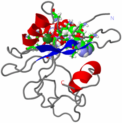 Image NMR Structure - model 1, sites