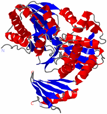 Image Asym./Biol. Unit